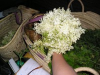 /album/decouvertes-en-balade/a3eme-tour-021-jpg/